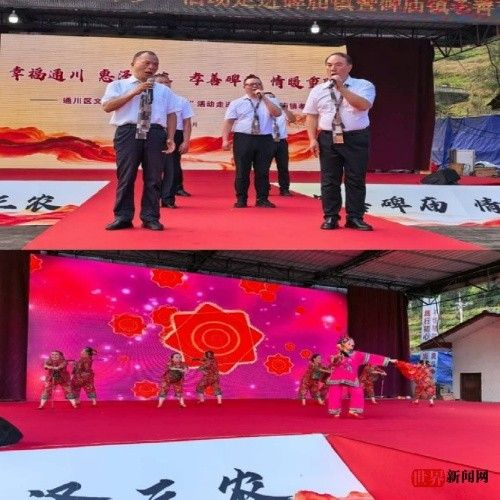 幸福润乡土 孝善暖民心——通川区“三下乡”活动走进