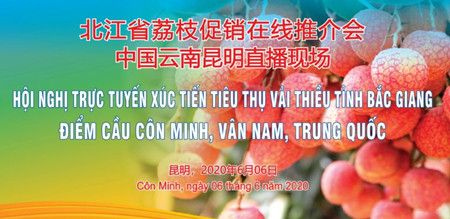 449f45dedc0d4331e08d5a8449609458.jpg