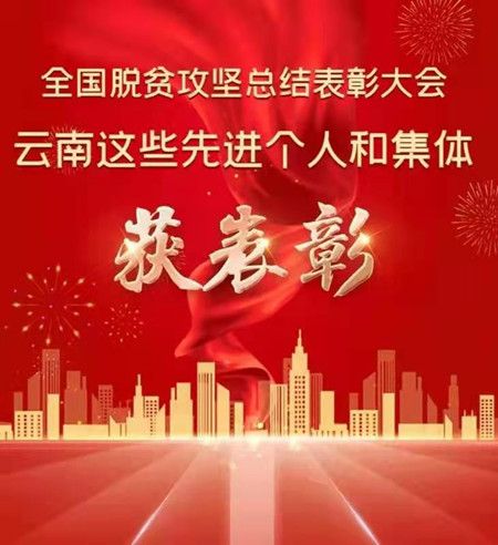 fe6208b8653b9c24b1c05ffe04805579.jpg