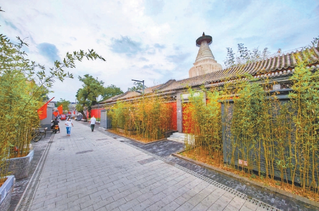 古老胡同与现代生活“共生” 白塔寺最佳观景点焕新亮相