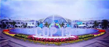 f2c1d50a672ec92af0001f2dc39cd4ea.jpg