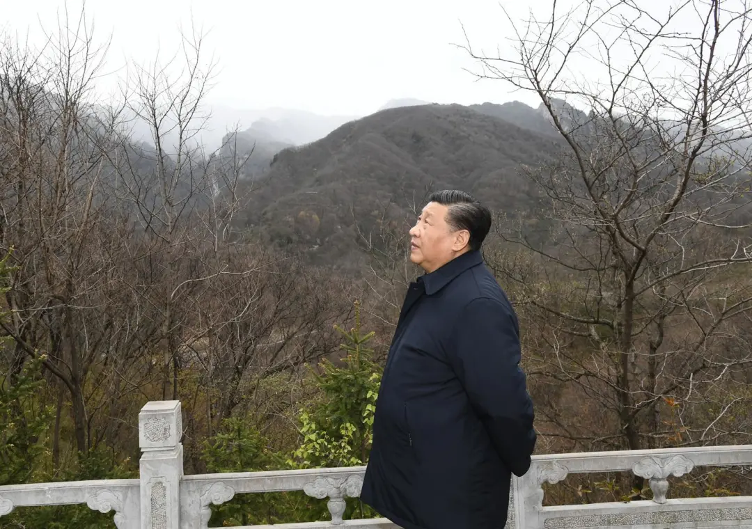 点击查看大图 图片