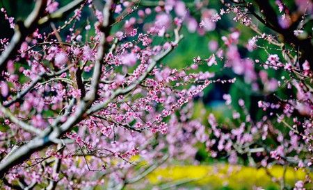 935c9f2affb77b0c97cea81fab90d4e5.jpg