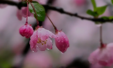 885a1e5932668ec8ade83d0d9d48215d.png
