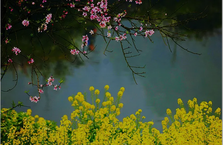 8b4507094031b7f2b59a65a344ba5df3.png
