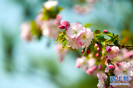 3f1ed75a5a0abc7661768ee96bf80633.png