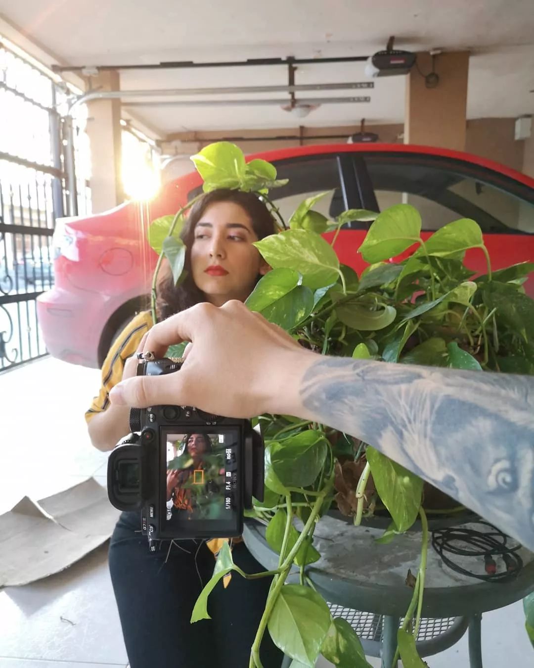 图片