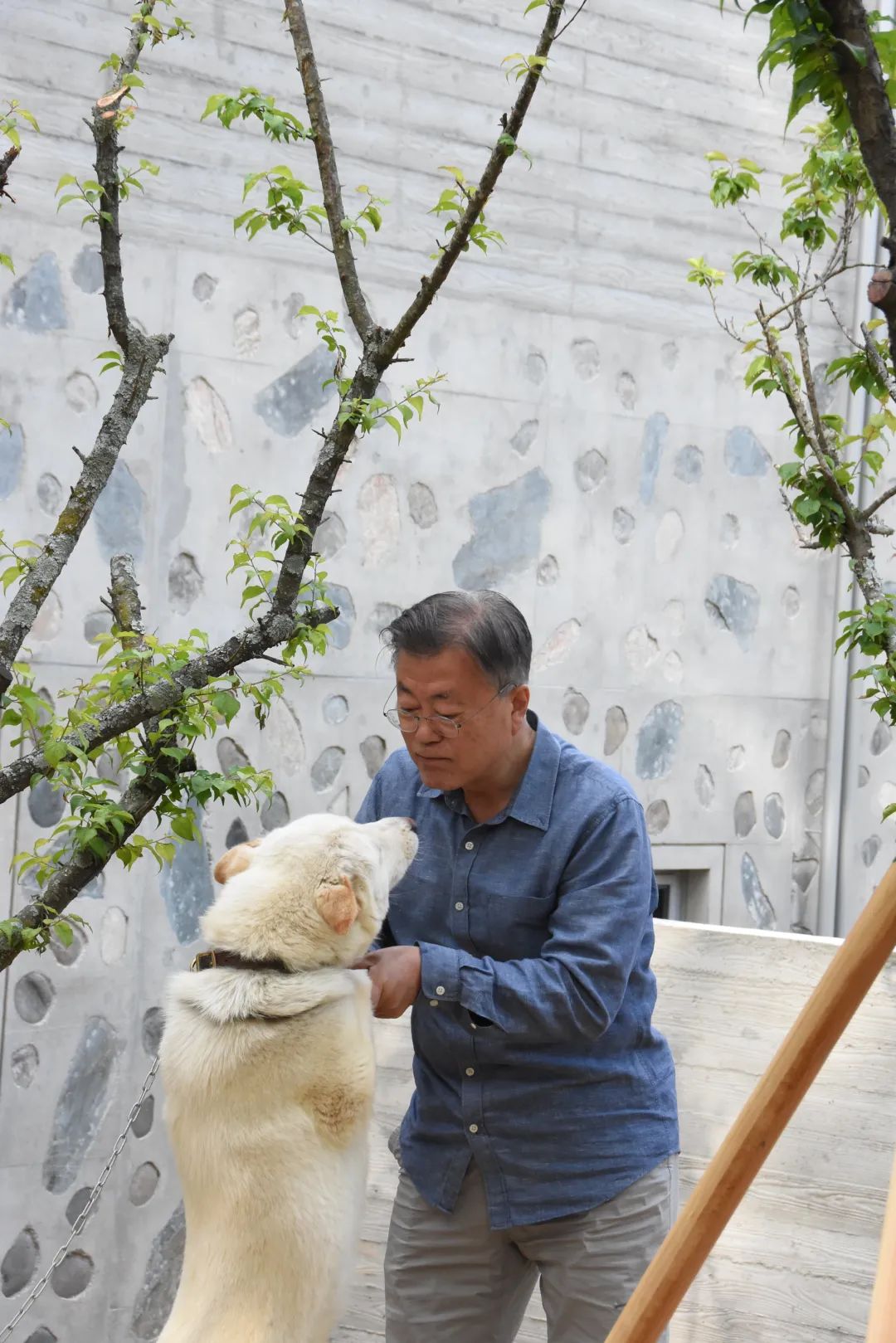 点击查看大图 图片