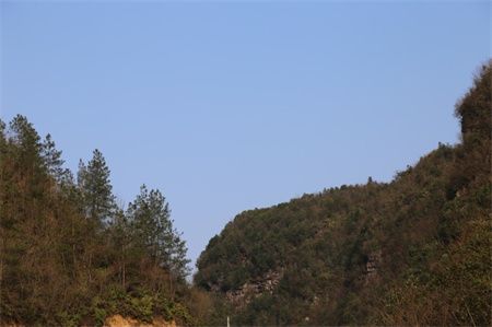 228aa4ac80ddbde8d6e2f7e5e4816f33.jpg