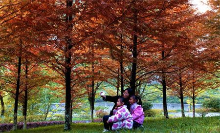 5d251be8f48597f6906bcfe3b42cc825.jpg