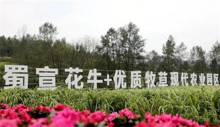 ef8f04a384d9417d2c342336e0ce06ab.jpg