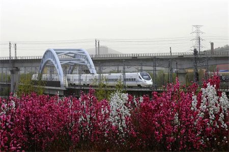 d847b7981433d7fe73b0f11ec4e13aac.jpg