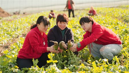 d765e7323d6bdc293c442a15630e28ae.jpg
