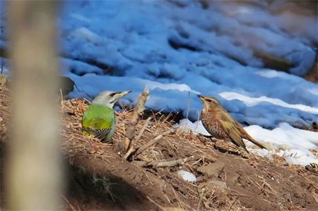 970b303df41c8411b0debd94de26121d.jpg
