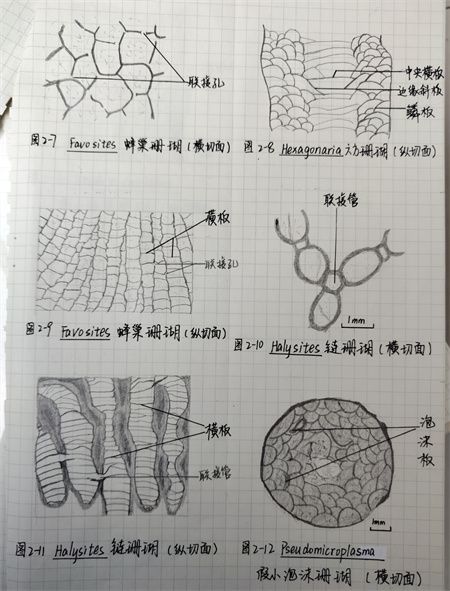 6ddc4128c87f5038e97d131324b7e00a.jpg
