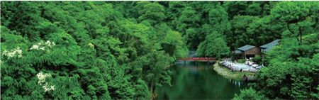 e2b890292a85f5666c5acb852c22a459.jpg