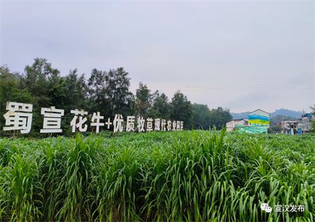 80d7144432f97fb2e8ffb5f5f5681a18.jpg