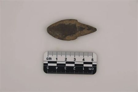c3078a83faba5e00e1f366975e29f257.jpg