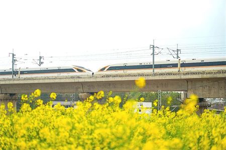 6f5daf37189e9a62794cadf0a0a2cbe4.jpg