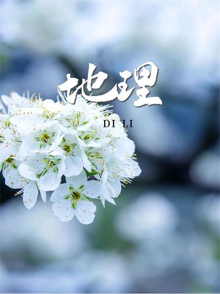 fa1d34629ec2b9d0c37cfdbbe6dc7e12.jpg