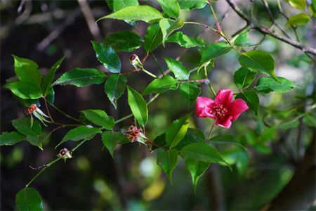 d9409d005357cc49ce03cdce33e2d4a4.jpg