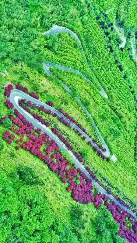 1ef6264f6c6f83ca89eaf013ccbdb926.jpg